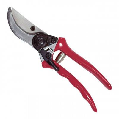 Будкрам купить Секатор 200 мм INTERTOOL FT-1002 Секатор 200 мм INTERTOOL FT-1002 1_small