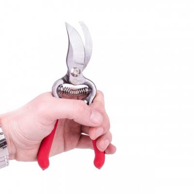 Будкрам купить Секатор 200 мм INTERTOOL FT-1003 Секатор 200 мм INTERTOOL FT-1003 3