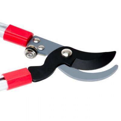 Будкрам купити Сучкорез садовый с телескопическими ручками INTERTOOL FT-1115 Сучкорез садовый с телескопическими ручками INTERTOOL FT-1115 13