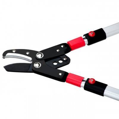 Будкрам купити Сучкорез садовый с телескопическими ручками INTERTOOL FT-1116 Сучкорез садовый с телескопическими ручками INTERTOOL FT-1116 6