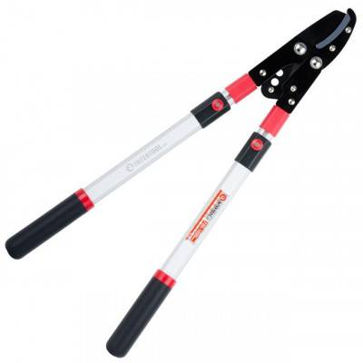 Будкрам купить Сучкорез садовый с телескопическими ручками INTERTOOL FT-1116