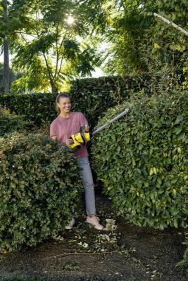 Будкрам купити Кущоріз HGE 18-50 Battery Кущоріз HGE 18-50 Battery 4