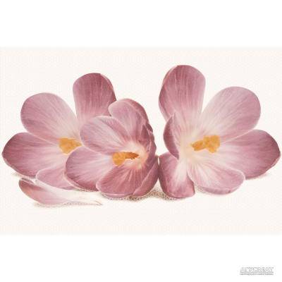 Будкрам купити CASABLANCA FLOWER декор CASABLANCA FLOWER декор 1_small