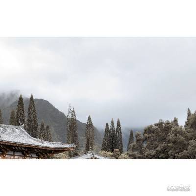 Будкрам купити BAMBOO беж декор