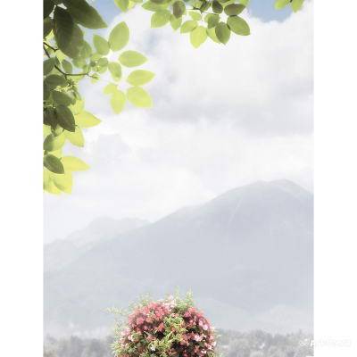 Будкрам купити TROYANDA мікс декор TROYANDA мікс декор 1_small