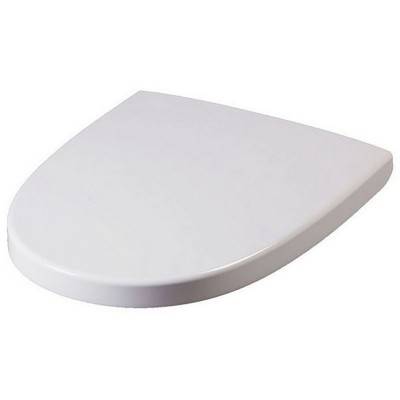 Будкрам купить Spirit крышка для унитаза, микролифт
