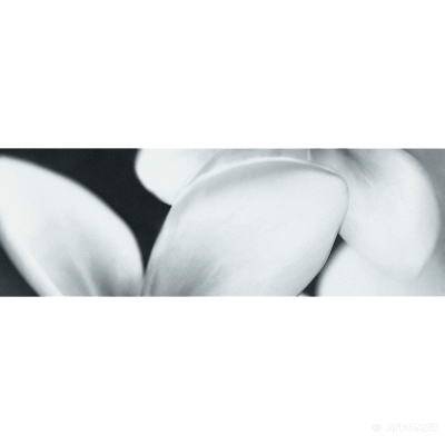 Будкрам купить PRET-A-PORTER BLACK FLOWER COMPOSITION декор3