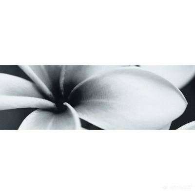 Будкрам купить PRET-A-PORTER BLACK FLOWER COMPOSITION декор3 PRET-A-PORTER BLACK FLOWER COMPOSITION декор3 4