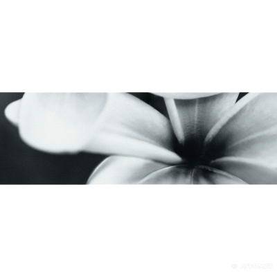 Будкрам купить PRET-A-PORTER BLACK FLOWER COMPOSITION декор3 PRET-A-PORTER BLACK FLOWER COMPOSITION декор3 3