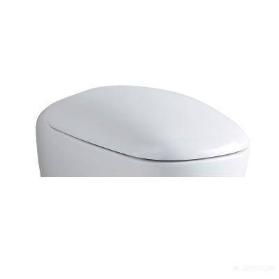 Будкрам купить Citterio Сиденье с микролифтом с металлическими петлями