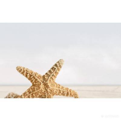 Будкрам купити SUMMER STONE БЕЖЕВЫЙ декор В41331