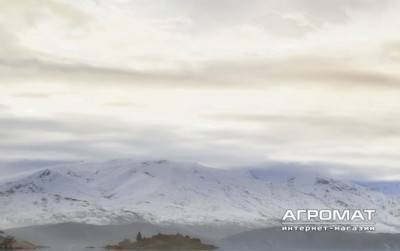 Будкрам купити WANAKA БЕЖЕВИЙ декор (xbc)