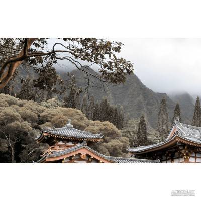 Будкрам купити BAMBOO беж декор