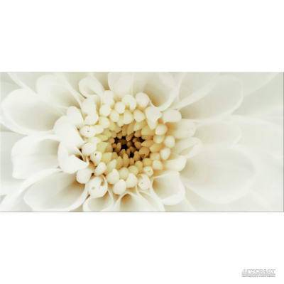 Будкрам купить DIAGO BEIGE INSERTO FLOWER B декор (xbc)