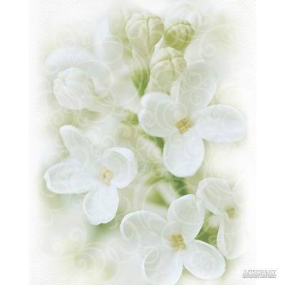 Будкрам купить DEC ANDREA FLOWER декор2