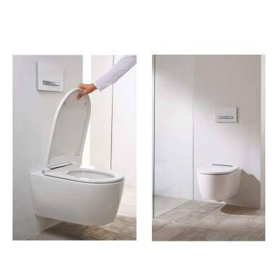 Будкрам купити Підвісний унітаз Geberit ONE, без обідка, воронкоподібний змив TurboFlush, прих.кріплення, декор накладка біла, захисне покриття KeraTect: в комплекті з кришкою Duroplast, швидкоз'ємні петлі, SoftClose та із звукоізолюючою прокладкою Підвісний унітаз Geberit ONE, без обідка, воронкоподібний змив TurboFlush, прих.кріплення, декор накладка біла, захисне покриття KeraTect: в комплекті з кришкою Duroplast, швидкоз'ємні петлі, SoftClose та із звукоізолюючою прокладкою 7