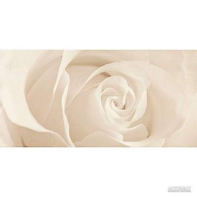 Будкрам купити EFFECTA BEIGE INSERTO декор