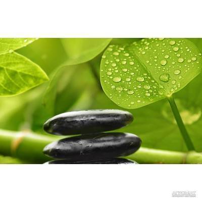 Будкрам купити RELAX ЗЕЛЕНЫЙ декор