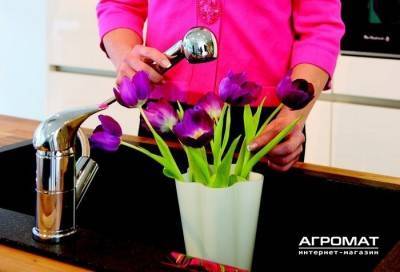 Будкрам купити SPACE Змішувач д/кухні з витяж. душом SPACE Змішувач д/кухні з витяж. душом 2