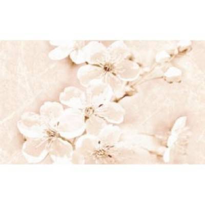 Будкрам купити SOFI INSERTO FLOWER