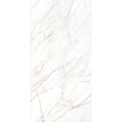 Будкрам купити GIOIA SILVER/60x120/EP