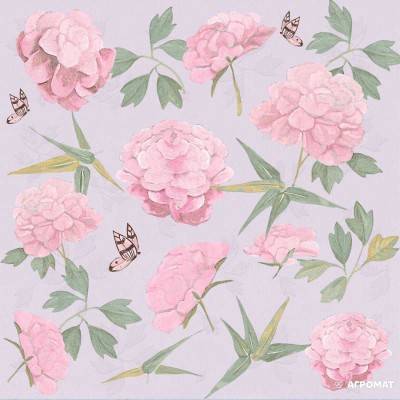 Будкрам купити GIRLS (xbc)