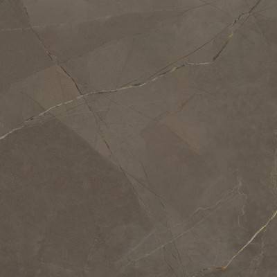 Будкрам купить SELECTA PULPIS REC-BIS