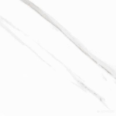 Будкрам купить STATUARY BLANCO POL RECT (FAM 004) STATUARY BLANCO POL RECT (FAM 004) 5