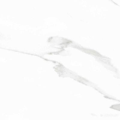 Будкрам купить STATUARY BLANCO POL RECT (FAM 004) STATUARY BLANCO POL RECT (FAM 004) 8