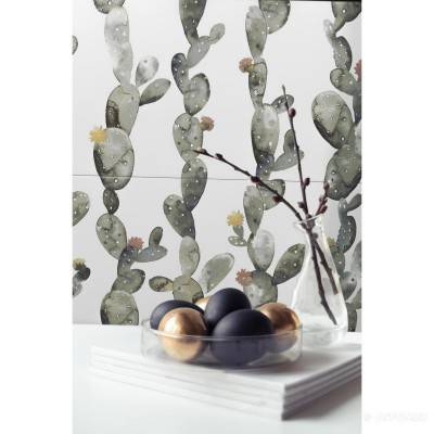 Будкрам купити GLIMPSE CACTUS ORNATO GLIMPSE CACTUS ORNATO 2