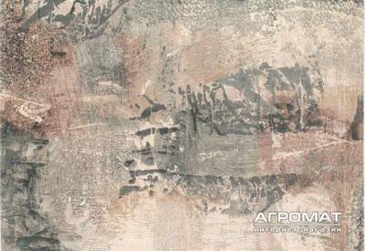 Будкрам купити 80255 Килим LAGUNA 73330/6454 200X290