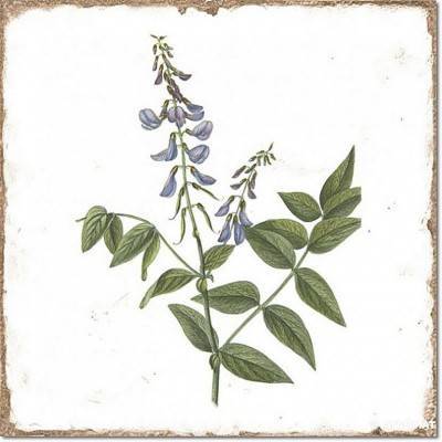 Будкрам купити FORLI DECOR FLOWERS