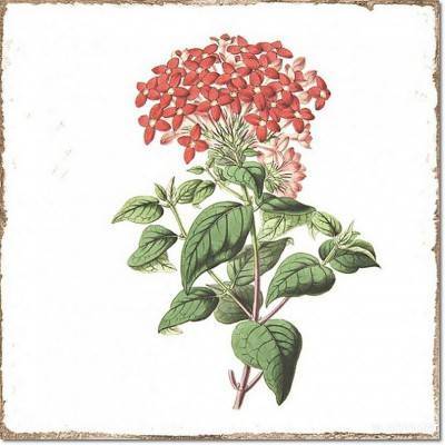 Будкрам купить FORLI DECOR FLOWERS FORLI DECOR FLOWERS 2