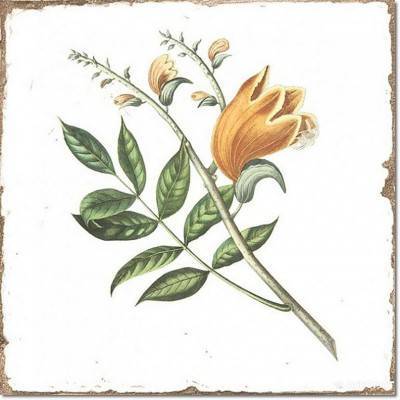 Будкрам купить FORLI DECOR FLOWERS FORLI DECOR FLOWERS 4