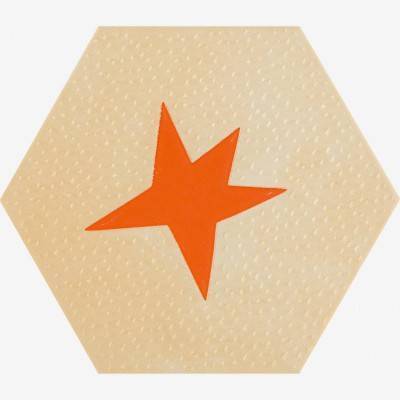 Будкрам купить AGATHA 21 ESTRELLA NARANJA AGATHA 21 ESTRELLA NARANJA 1_small