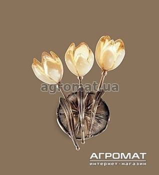 Будкрам купити 319/A3 Настінний світильник