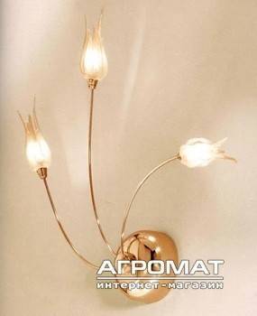 Будкрам купить 0505236063906 ZASHI PARETE DORATO V/AMBRA CON LAMPADINE Бра