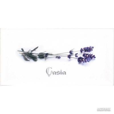 Будкрам купити DEC CASIA BLANCO декор