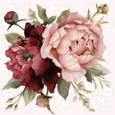 Будкрам купити DEC VELVET PION xbc DEC VELVET PION xbc 1_small