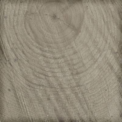 Будкрам купити NAOKI ROBLE (xbc)