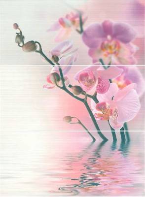 Будкрам купити DEC DENNIS CAPRI-3 (xbc)