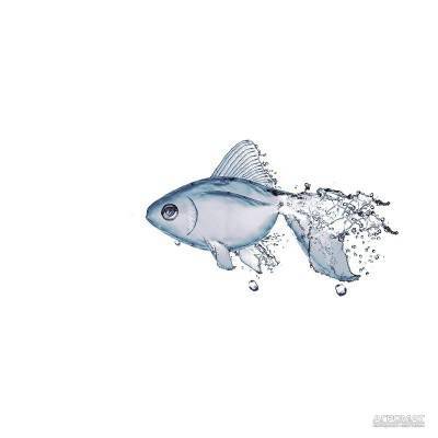 Будкрам купить DEC FISH-1 декор