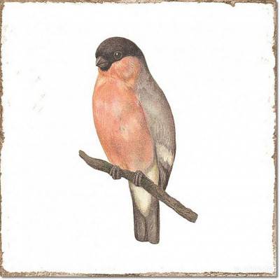 Будкрам купити FORLI DECOR BIRDS