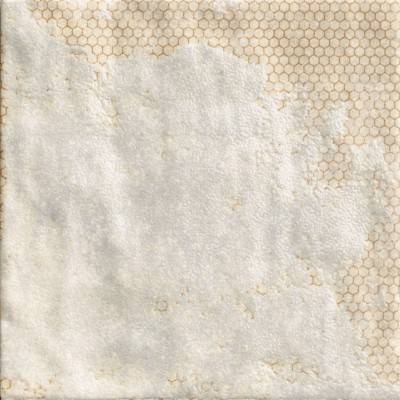 Будкрам купити MANDALA WHITE MANDALA WHITE 2