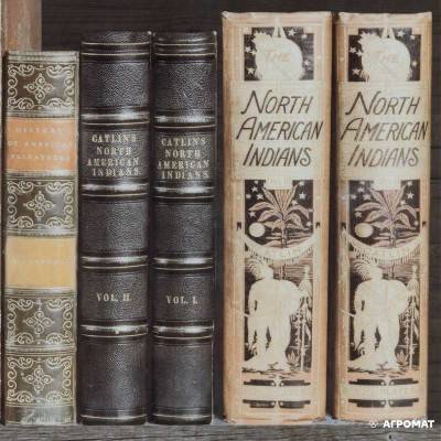 Будкрам купить BOOKS/P