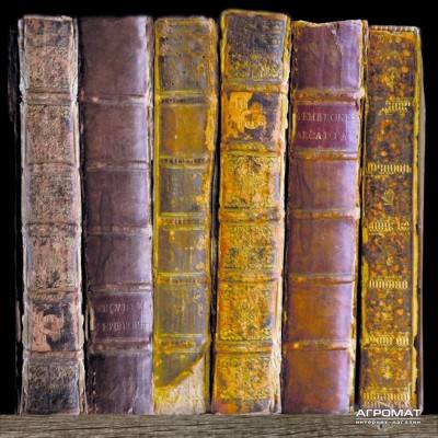 Будкрам купить BOOKS/P BOOKS/P 6