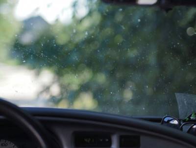 Будкрам купити RM 618 Засіб для видалення слідів комах, 3-в-1, 500 мл RM 618 Засіб для видалення слідів комах, 3-в-1, 500 мл 2