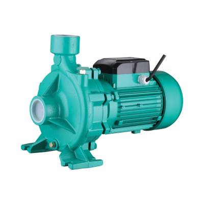 Будкрам купить Насос поверхностный центробежный Taifu THF6B-1 1,5 кВт