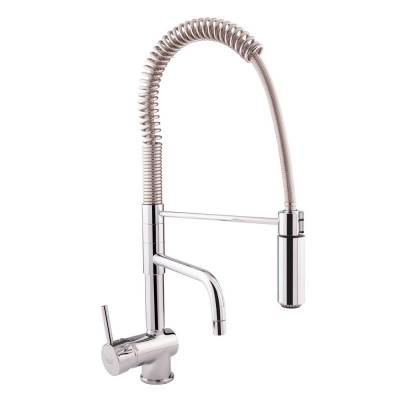 Будкрам купить Смеситель для кухни с рефлекторным изливом Bianchi Style LVMSTY2015FCRM