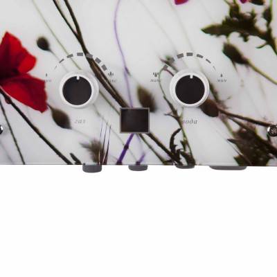 Будкрам купить Колонка газовая дымоходная Thermo Alliance JSD20-10GB 10 л панель из стекла с рисунком цветы Колонка газовая дымоходная Thermo Alliance JSD20-10GB 10 л панель из стекла с рисунком цветы 7